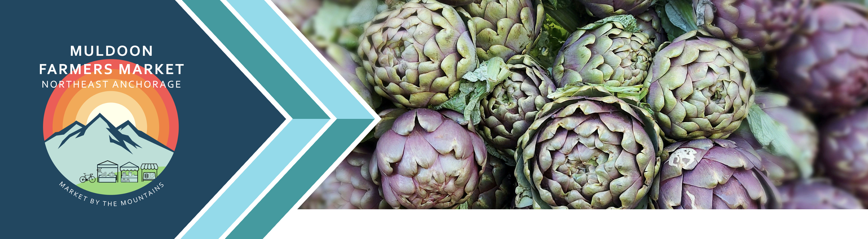 fresh artichokes